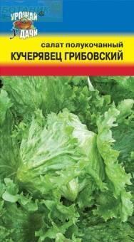 Купить оптом в Ботанике семена Салат Кучерявец Грибовский УУ бренд Урожай Удачи