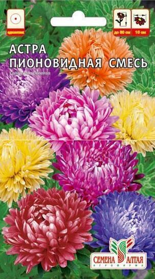 Купить оптом в Ботанике семена Астра Пионовидная смесь окрасок СА бренд Семена Алтая