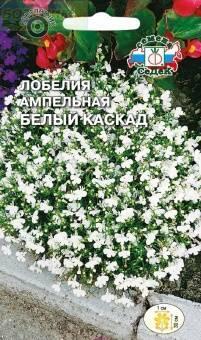 Купить оптом в Ботанике семена Лобелия Белый каскад Сед бренд СеДеК
