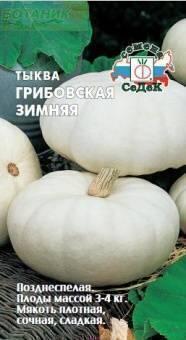 Купить оптом в Ботанике семена Тыква Грибовская зимняя Сед бренд СеДеК