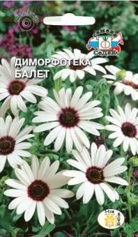 Купить оптом в Ботанике семена Диморфотека Балет Сед бренд СеДеК