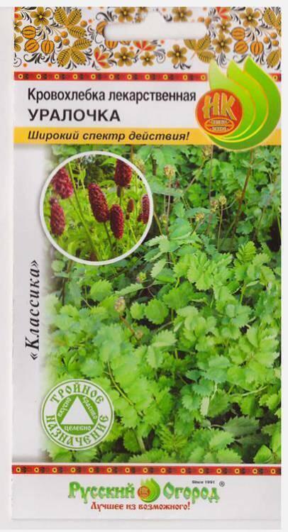 Купить оптом в Ботанике семена Кровохлёбка Уралочка лекарственная НК бренд НК