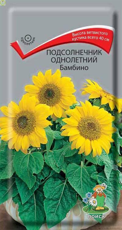 Купить оптом в Ботанике семена Подсолнечник декор. Бамбино Поиск бренд Поиск