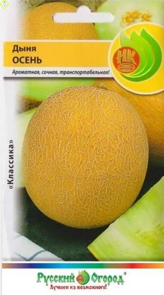 Купить оптом в Ботанике семена Дыня Осень НК бренд НК