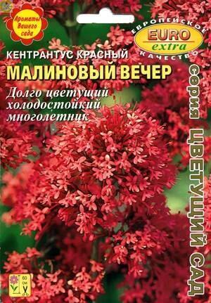 Купить оптом в Ботанике семена Кентрантус Малиновый вечер* Аэл бренд Аэлита
