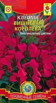 Купить оптом в Ботанике семена Клеома Вишневая королева Плз бренд Плазмас