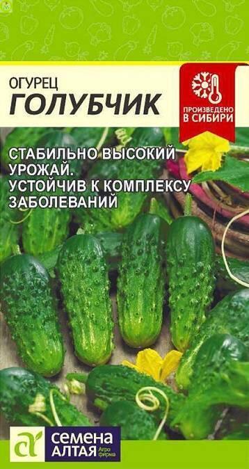 Купить оптом в Ботанике семена Огурец Голубчик F1 СА бренд Семена Алтая