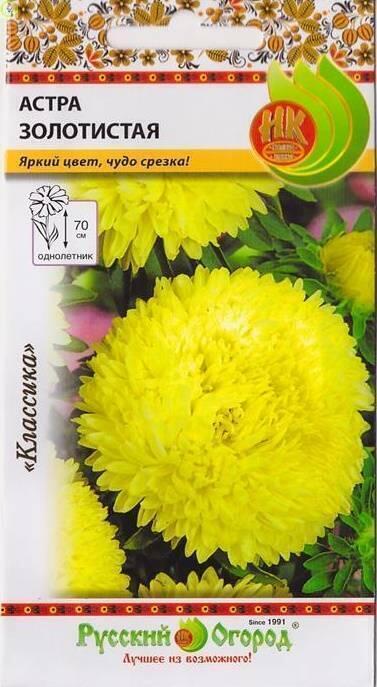 Купить оптом в Ботанике семена Астра Золотистая НК бренд НК