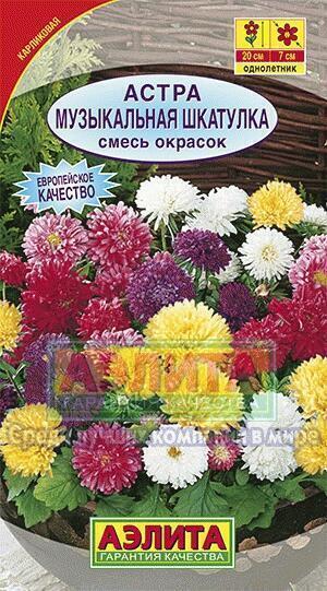 Купить оптом в Ботанике семена Астра Музыкальная шкатулка смесь Аэл бренд Аэлита