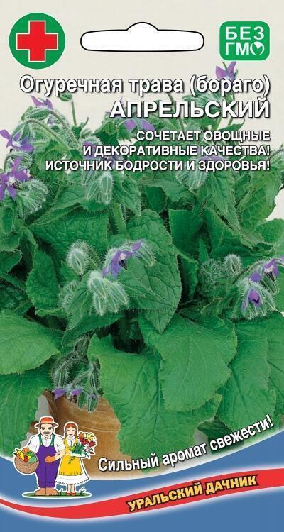 Купить оптом в Ботанике семена Бораго Апрельский УД бренд Уральский дачник