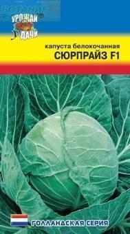 Купить оптом в Ботанике семена Капуста белокочанная Сюрпрайз F1 УУ бренд Урожай Удачи