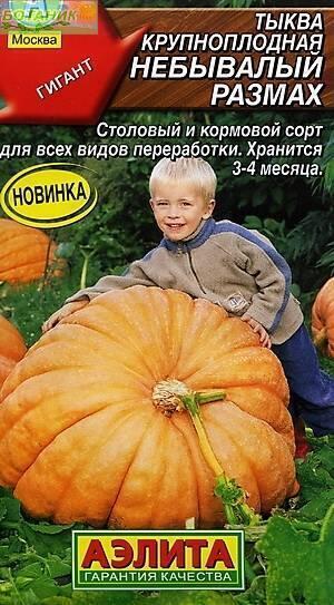 Купить оптом в Ботанике семена Тыква Небывалый размах крупноплодная Аэл бренд Аэлита