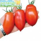 Купить оптом в Ботанике семена Томат Семко-2112 5шт F1 Сем бренд Семко
