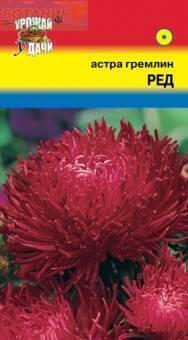 Купить оптом в Ботанике семена Астра Гремлин ред УУ бренд Урожай Удачи