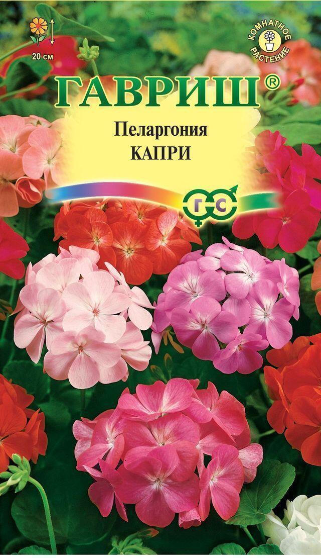 Купить оптом в Ботанике семена Пеларгония Капри F2 зональная Гав бренд Гавриш