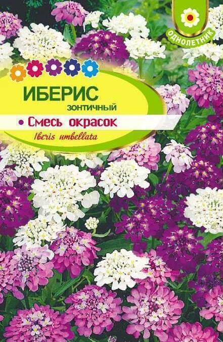 Купить оптом в Ботанике семена Иберис Зонтичный смесь СА бренд Семена Алтая