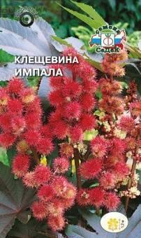 Купить оптом в Ботанике семена Клещевина Импала Сед бренд СеДеК