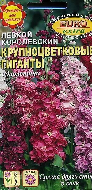 Купить оптом в Ботанике семена Левкой Крупноцветковые гиганты Аэл бренд Аэлита