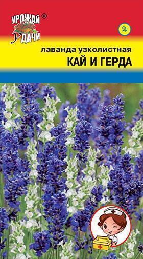 Купить оптом в Ботанике семена Лаванда Кай и Герда УУ бренд Урожай Удачи