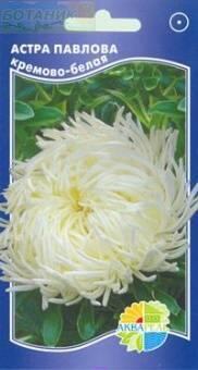 Купить оптом в Ботанике семена Астра Павлова крем вайт Акв бренд Акварель