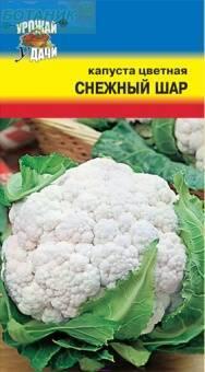 Купить оптом в Ботанике семена Капуста цветная Снежный шар УУ бренд Урожай Удачи