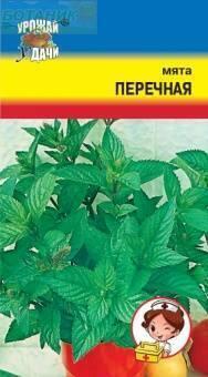 Купить оптом в Ботанике семена Мята Перечная УУ бренд Урожай Удачи