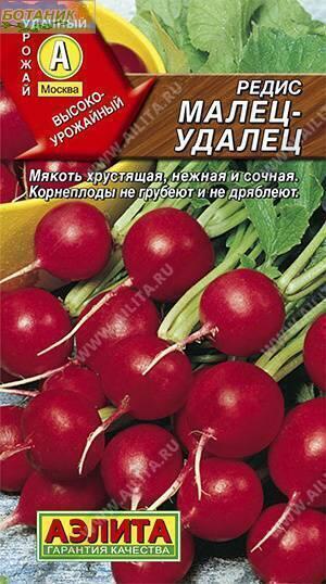 Купить оптом в Ботанике семена Редис Малец-удалец Аэл бренд Аэлита