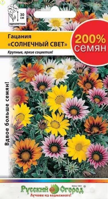 Купить оптом в Ботанике семена Гацания Солнечный свет 200% НК бренд НК