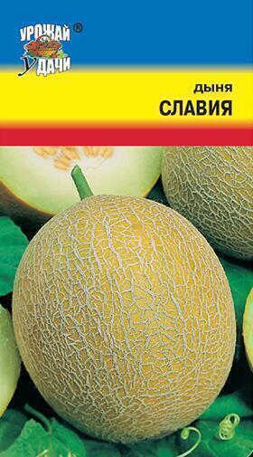 Купить оптом в Ботанике семена Дыня Славия УУ бренд Урожай Удачи