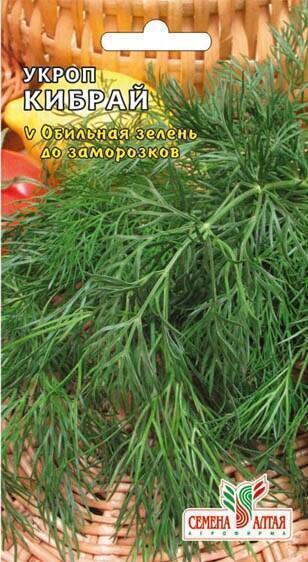 Купить оптом в Ботанике семена Укроп Кибрай СА бренд Семена Алтая