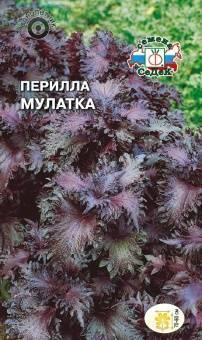 Купить оптом в Ботанике семена Перилла Мулатка пурпурная Сед бренд СеДеК