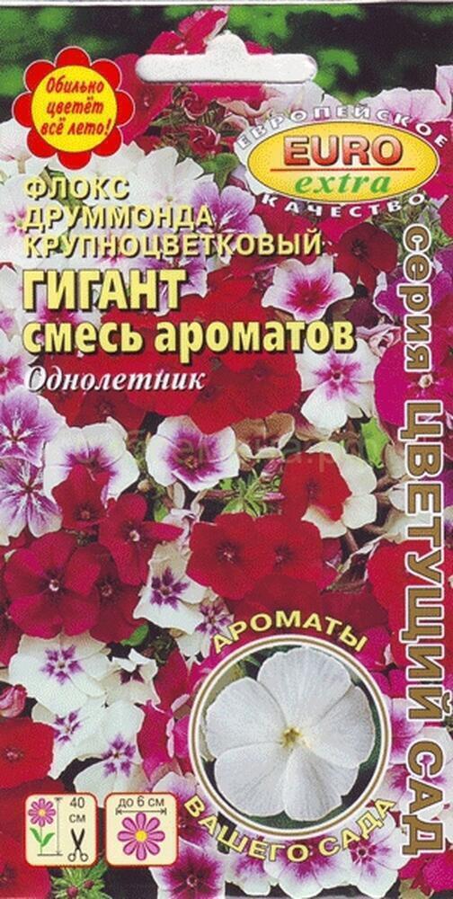 Купить оптом в Ботанике семена Флокс Гигант смесь ароматов Аэл бренд Аэлита