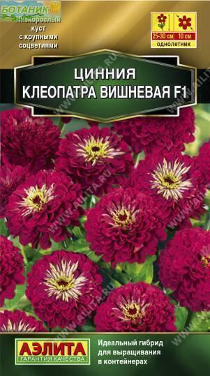 Купить оптом в Ботанике семена Цинния Клеопатра вишневая F1 Аэл бренд Аэлита