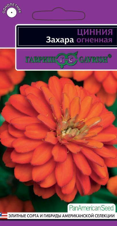 Купить оптом в Ботанике семена Цинния Захара огненная Гав бренд Гавриш