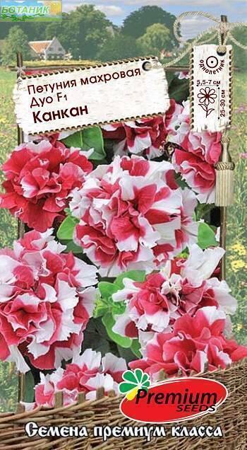 Купить оптом в Ботанике семена Петуния Дуо Канкан F1 ПС бренд Премиум Сидс
