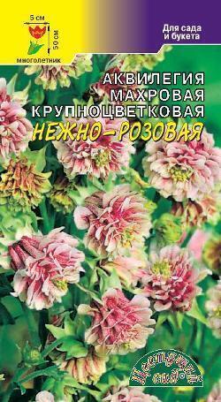 Купить оптом в Ботанике семена Аквилегия Нежно-розовая махровая ЦС бренд Цветущий Сад