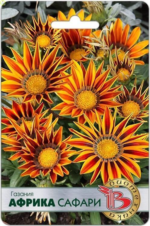 Купить оптом в Ботанике семена Газания Африка Сафари Био бренд Биотехника