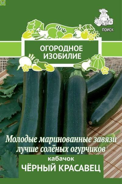 Купить оптом в Ботанике семена Кабачок Черный красавец Поиск бренд Поиск