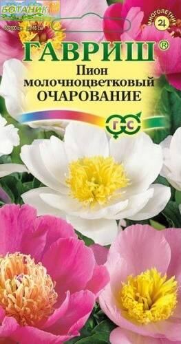 Купить оптом в Ботанике семена Пион Очарование молочноцветковый Гав бренд Гавриш