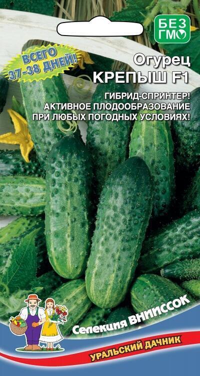 Купить оптом в Ботанике семена Огурец Крепыш F1 УД бренд Уральский дачник