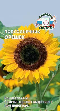 Купить оптом в Ботанике семена Подсолнечник Орешек Сед бренд СеДеК