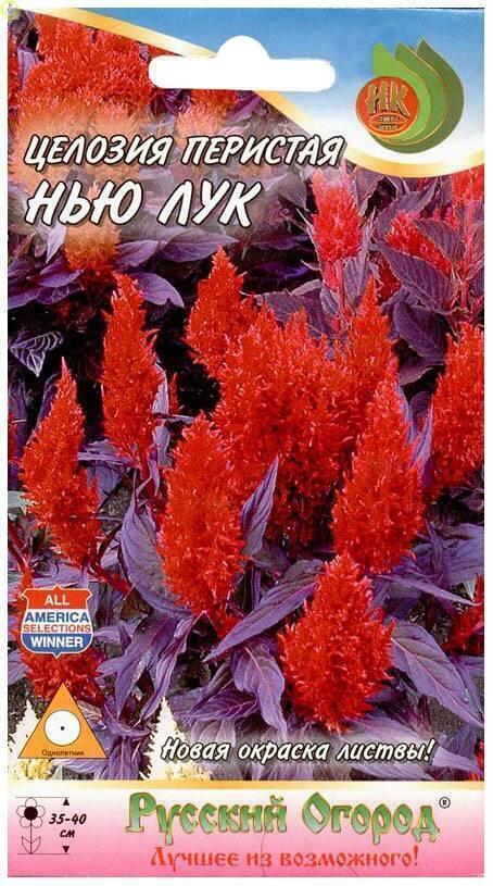 Купить оптом в Ботанике семена Целозия перистая Нью Лук НК бренд НК