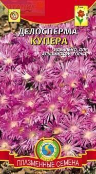 Купить оптом в Ботанике семена Делосперма Купера Плз бренд Плазмас