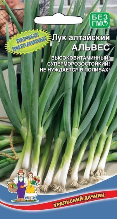 Купить оптом в Ботанике семена Лук алтайский Альвес УД бренд Уральский дачник