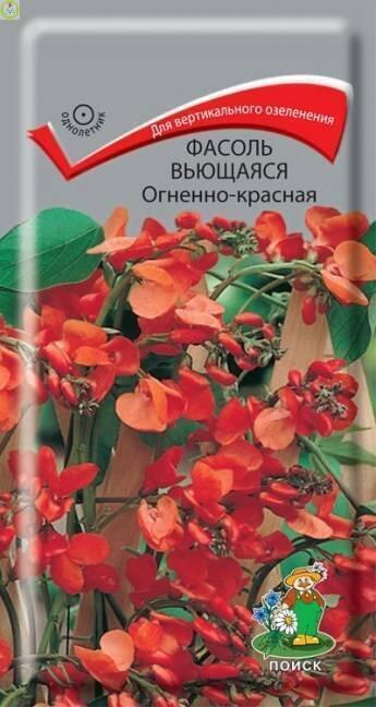 Купить оптом в Ботанике семена Фасоль вьющаяся Огненно-красная Поиск бренд Поиск