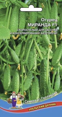 Купить оптом в Ботанике семена Огурец Миранда F1 УД бренд Уральский дачник