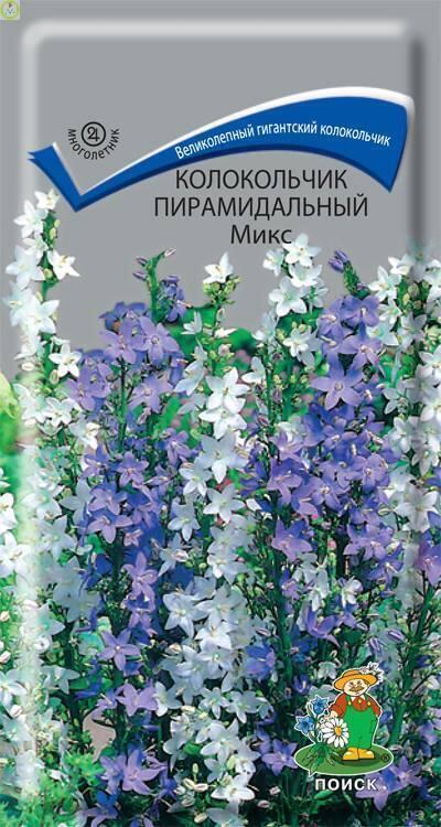 Купить оптом в Ботанике семена Колокольчик пирамидальный Микс Поиск бренд Поиск