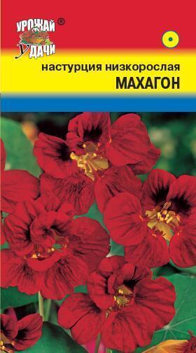 Купить оптом в Ботанике семена Настурция Махагон УУ бренд Урожай Удачи