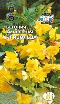 Купить оптом в Ботанике семена Бегония Изольда ампельная Сед бренд СеДеК