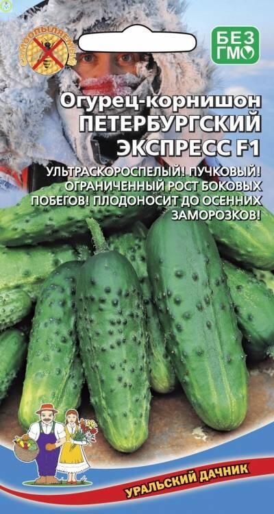 Купить оптом в Ботанике семена Огурец Петербургский Экспресс F1 УД бренд Уральский дачник